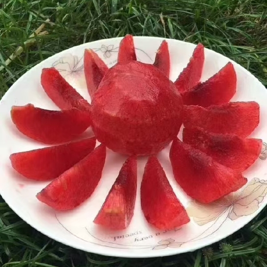 汝城县苹果李，酸酸甜甜就是我