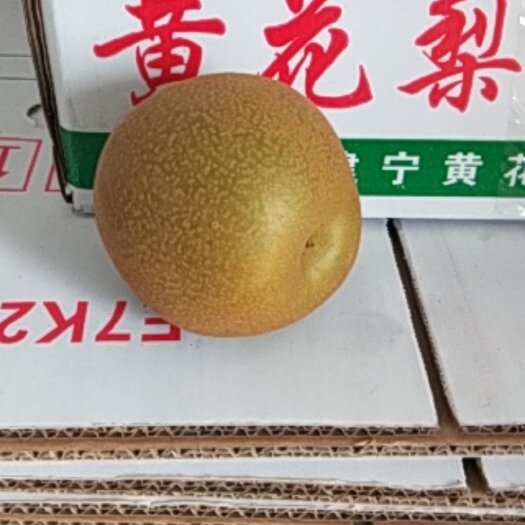建宁县建宁黄花梨200克起光果。。。。。。。。。。。。。。。。。。
