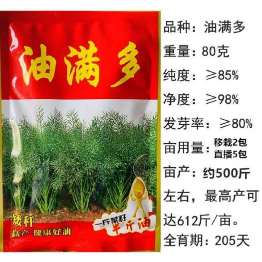 油满多高产杂交油菜种子矮杆观赏油菜花耐寒早熟榨油油菜籽种孑