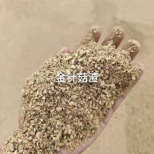 石家庄金针菇渣，鸡鸭鹅猪牛羊饲料原料