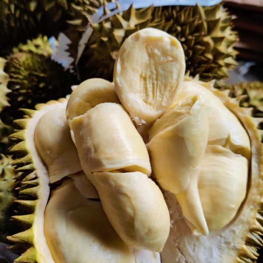 昆明金枕榴莲3-4斤单果包3房