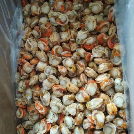 广州新鲜冷冻 皇冠贝 扇贝肉 海鲜贝类生鲜16斤450左右颗