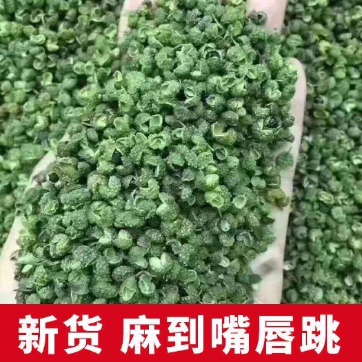 大凉山雷波青花椒