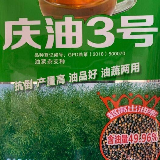 【庆油3号】3号油菜种子甘蓝型杂交中熟抗病毒抗倒伏抗裂荚