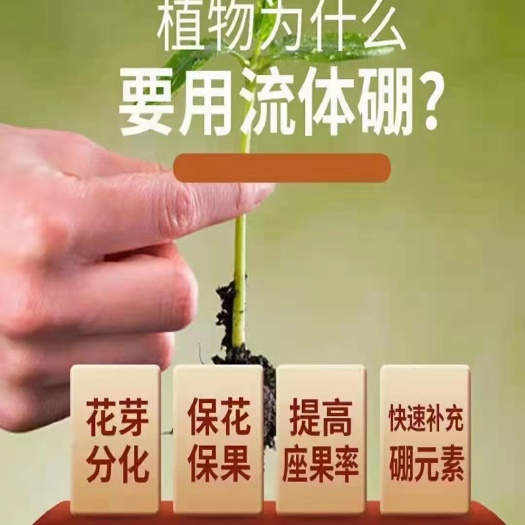 邯郸【源沃】流体硼 快速的缓解植物因缺硼带来的硼缺乏症
