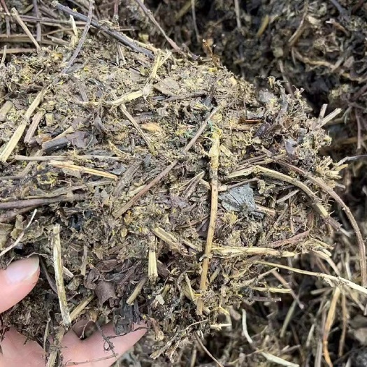 佛冈县广东凉茶渣中药渣大量供应，质优价廉，牛羊养殖好饲料！