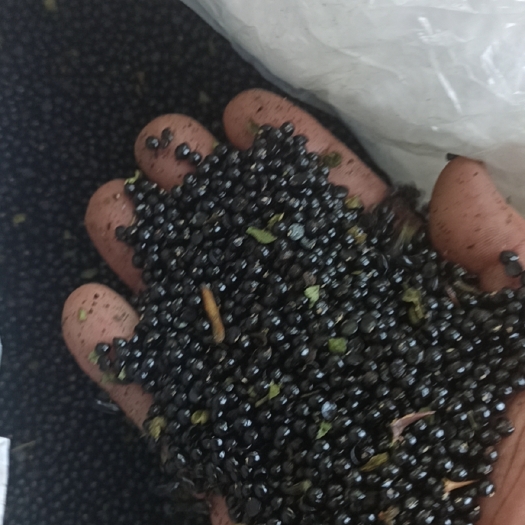 重庆市花椒籽