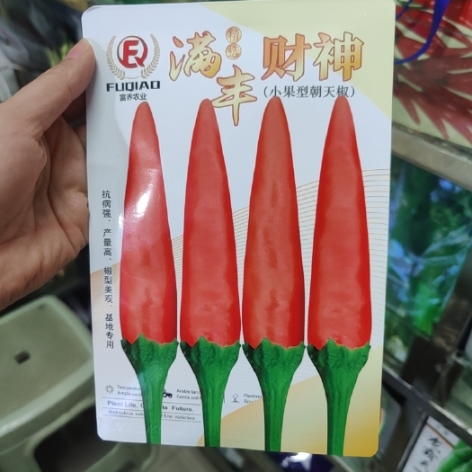 文山市满丰财神