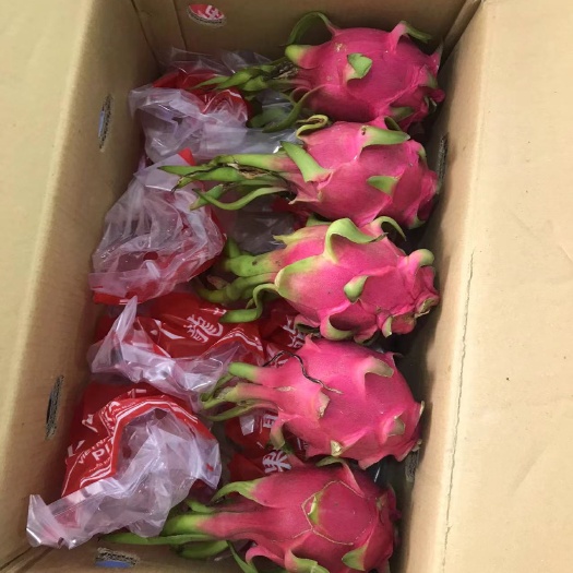 凭祥市白心火龙果
