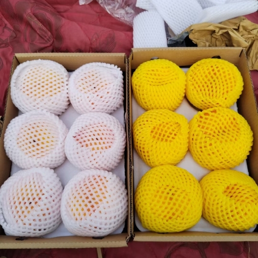 深州市优质蟠桃