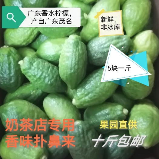 广东香水柠檬，苦瓜皮厚香，老品种有籽。果场随摘随发，奶茶店用