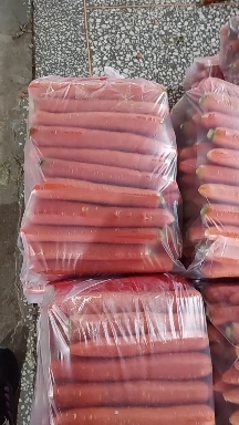 大荔县胡萝卜  精品陕西红萝卜供应中