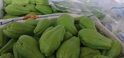 贵州省惠水县黔顺农民种植专业合作社