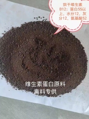 正定县维生素蛋白