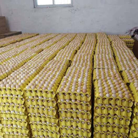 长沙精品土鸡蛋