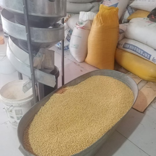豆粕