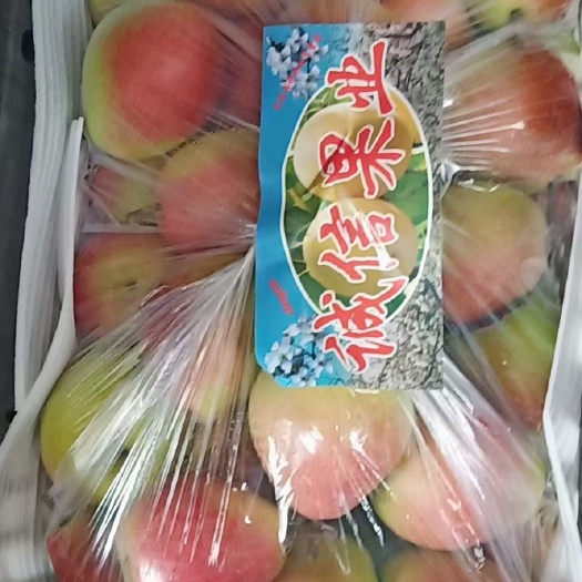 运城山西累德红美酥