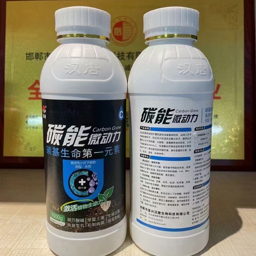 邯郸碳能微动力