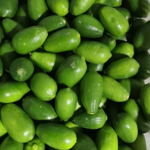 昆明基地现摘香水一级急出！！！