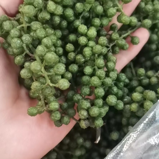 枝江市新鲜特麻青藤椒