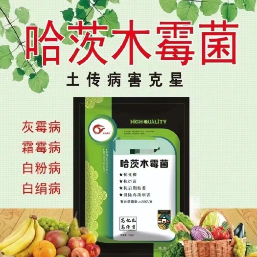 邯郸哈茨木霉菌