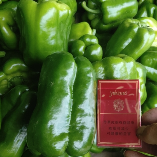 天镇县量大的来