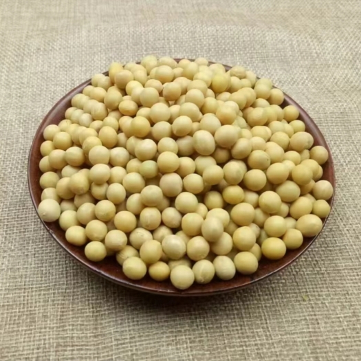 杭锦旗大豆是中国重要粮食