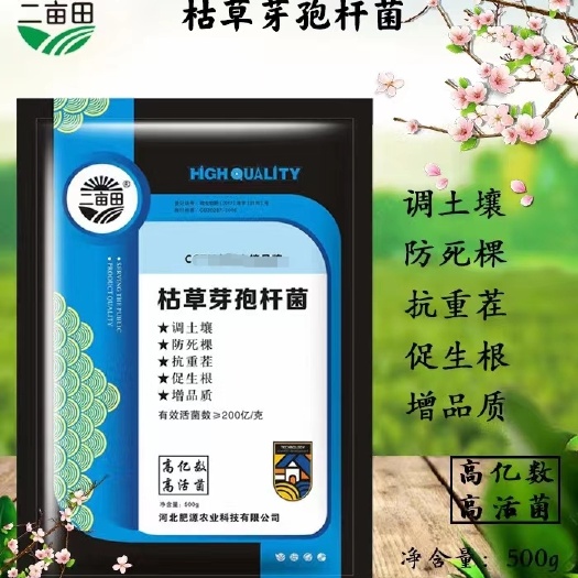 邯郸枯草芽孢杆菌