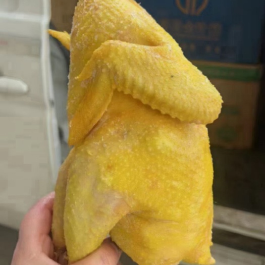 成都盐焗鸡腿 盐焗鸡厂家直销一手货源 跑江湖地摊展销会卤菜店专用