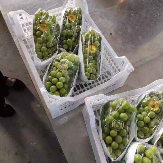 澧县阳光玫瑰品质好，口感好，果形漂亮有卖相，诚信办事。