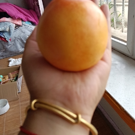 绥中县自家大黄桃
