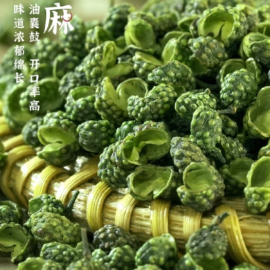 威远县特麻藤椒2022采摘烘烤