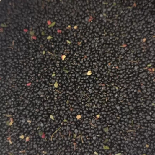 宝鸡新花椒籽。