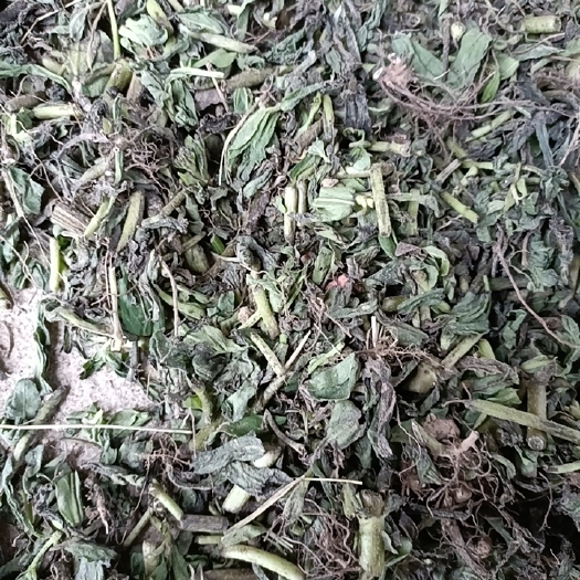 墨旱莲