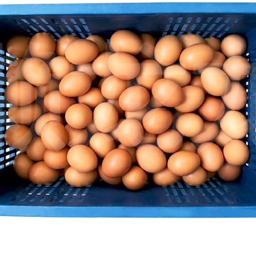 南京洋鸡蛋/框/净重26.6斤/称差≤0.1kg/破损≤10枚