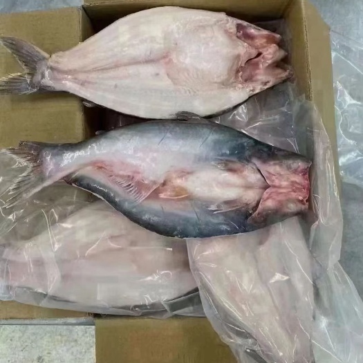 深圳越南原味开背巴沙鱼