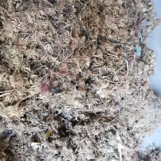 汾西县合欢花自家种植