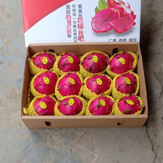 田东县金都红心火龙果