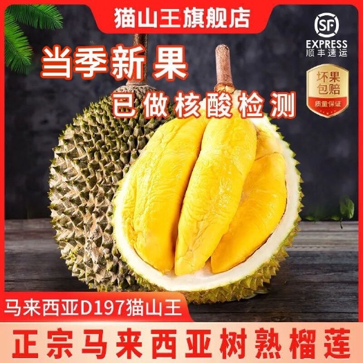 广州马来西亚 D197猫山王榴莲 批发电商对接 一件代发