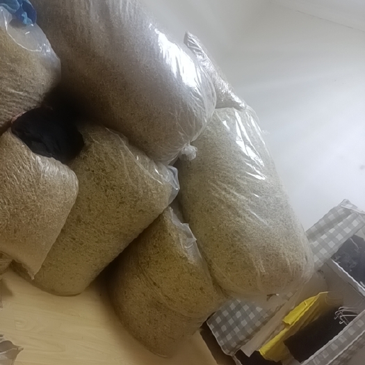 盐山县北花一号金银花