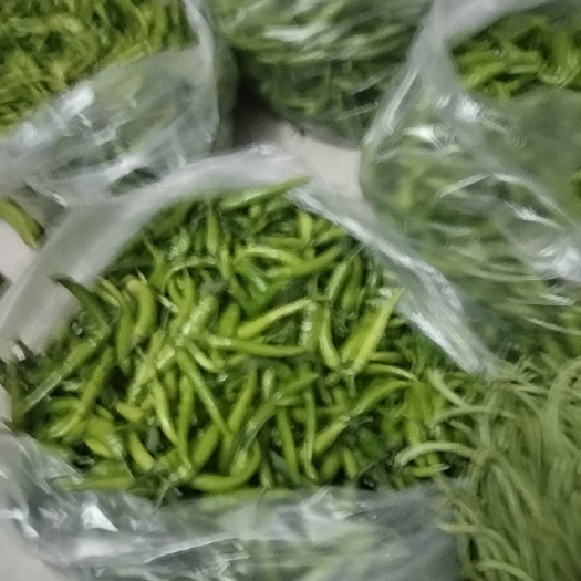 天门市杭椒