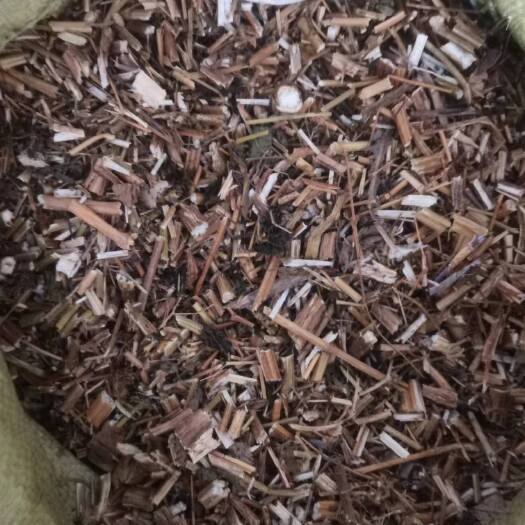 鬼针草新货批发零售欢迎选购