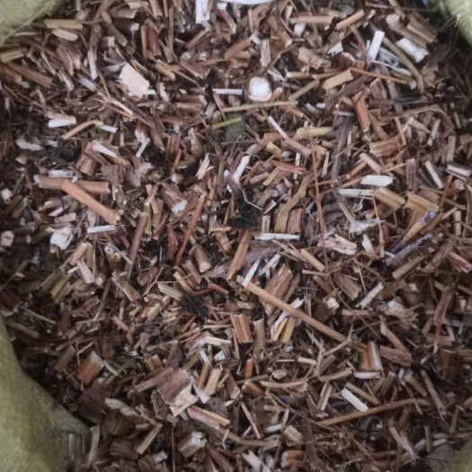 亳州鬼针草新货批发零售欢迎选购