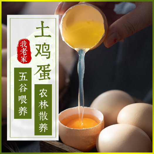 恩平市【当日现发】新鲜土鸡蛋正宗农家散养柴鸡蛋整箱批发笨鸡蛋草鸡蛋