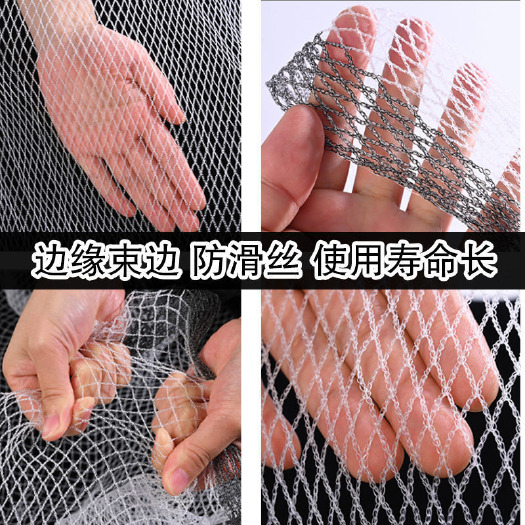 安平县防雹网 蔬菜果园农作物防冰雹网 园林园艺保护网庭院防护网