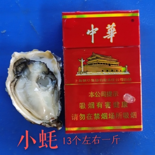 诏安县牡蛎  半壳加工价格   供应烧烤店   当天货源