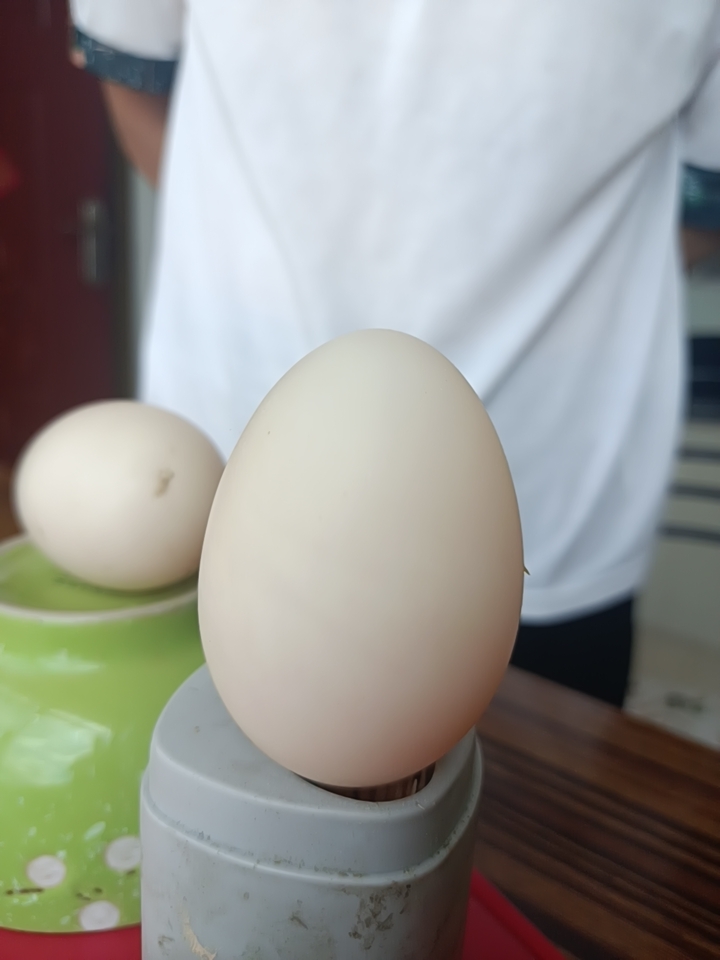 鸭蛋