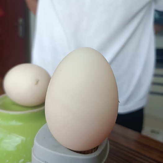 双辽市鸭蛋
