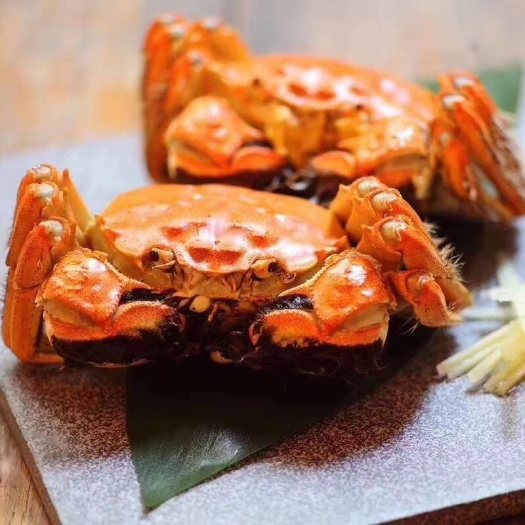 昆山市恰蟹阳澄湖镇大闸蟹批发分销团购