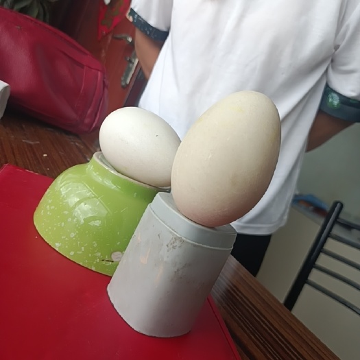 双辽市鹅蛋